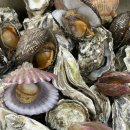 고향수산 이미지