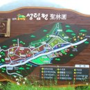 고흥숲속의바다 이미지