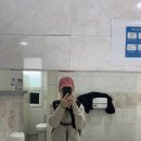 진안마이산(장수) | [등산일기] 블랙야크 100대 명산 진안 마이산과 장수 장안산 인증 후기
