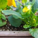 서귀포시장애인회관 이미지