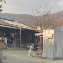 큰집글램핑 | 서울근교 글램핑장 충주 큰집글램핑 내돈내산 솔직 이용후기