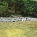 대바우가든 민박 이미지