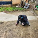 여주-0077 이미지