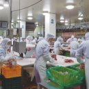 팜스토리 이미지