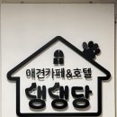 애견카페&호텔 댕댕당 | 강아지 키우기 - 셔틀랜드쉽독, 셀티랑 살기 28 : 강아지 애견카페 핫데뷔 (애견카페 &amp; 호텔 댕댕당)