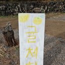 귤꽃스테이 | 3박 4일 무계획 제주 홀로 여행기 ① - 우진해장국, 빨간집, 돌담흑돼지, 중문별장