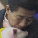 돼지저금통 - 마포구 어울마당로 146-1 | 돼지저금통