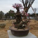 거시기농원 이미지