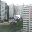 신평 신익강변 이미지