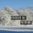 <12월 1일 > 해열제의 종류 이미지