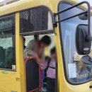 금란어린이집 | 금란초 입학을 결심하다