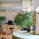 이든네이처 이미지