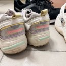 새운농장 이미지