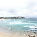 토부농장 이미지