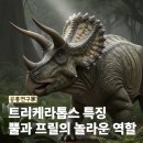 트리케라톱스-3 | 초식 공룡 트리케라톱스 특징 이야기 중간에 숨겨진 놀라운 장점까지 살펴보세요