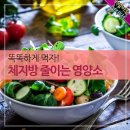 체지방 줄이는 영양소 이미지