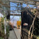 은비치농장 이미지