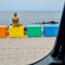 포구와 목선 | 제주도 스타리아 렌트 승합차투어 기사동행 편안한 자유여행