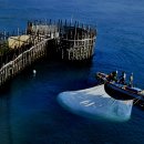 남해풍경 이미지