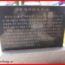 큰샘약국 Daum카페