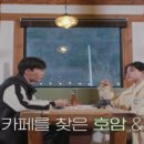 투데이지카페 이미지