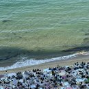 광안해변로R | 부산 광안리 불꽃축제 | 20주년 GD불꽃 명당 관람후기 총정리!
