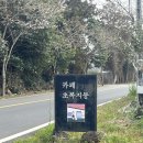 제주드레곤하우스 | 내돈내산 제주한경 강아지가 있는 디저트 맛집 초록지붕