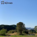 조은산약초