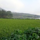 가루실모텔 이미지