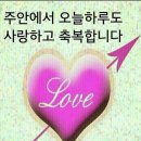 샬롬 이미지