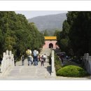 남경