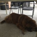 21세기자막단 티스토리