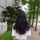 머리하는여인미용실
