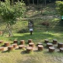 대흥동 유아숲체험원 이미지