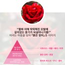 필헤어라인 이미지