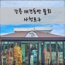 섭이네애견 | 강릉 사천포구 횟집, 애견 동반 식당 물회, 섭국 맛집 후기