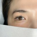 브로우돌 이미지