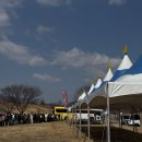 지막상점 | 2026 광양 매화축제 실시간 후기 ｜주차·셔틀·개화상태·먹거리 꿀팁 총정리