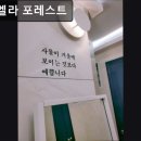 엘라포레스트 | 신촌, 고시원, 추천 마포 엘라 포레스트 신촌 마포 엘라 포레스트, 안전하고 예쁜 고시원