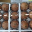 기호농장 이미지