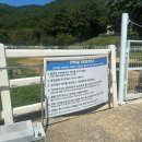 마르뜨 | [남해] 양 먹이체험 가능한 양떼목장ㅣ양마르뜨 언덕 후기