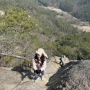 화원리 | 등린이의 산봉우리 등산모임 첫 참여 !충북 영동에 위치한 천태산 후기