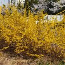 동탄3동주민센터 이미지