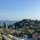 롯데목장 | [17개월 아기랑 제주도여행] 중문 롯데호텔 / 제주성이시돌목장 / 제주방주교회 예배 후기