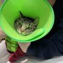금천종합동물병원 이미지