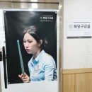 당구치자 이미지