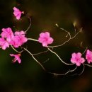 수락산길 이미지