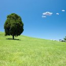 서정목장 이미지