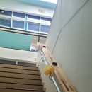 창동초병설 이미지