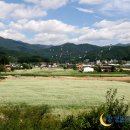 원미식당 이미지